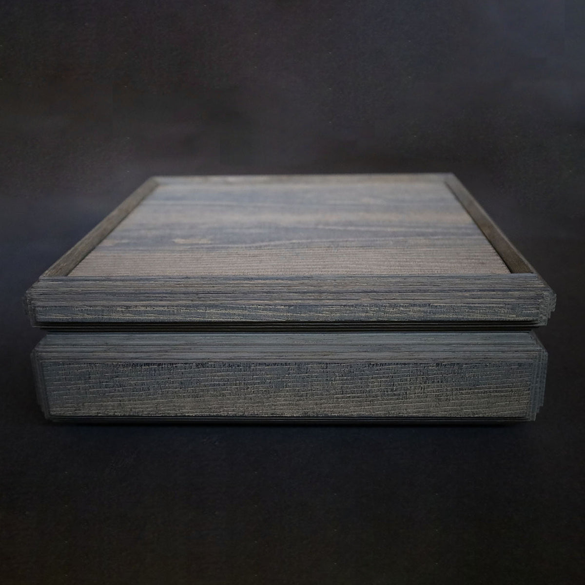 ●26-SD-18 BRION BOX 鼠