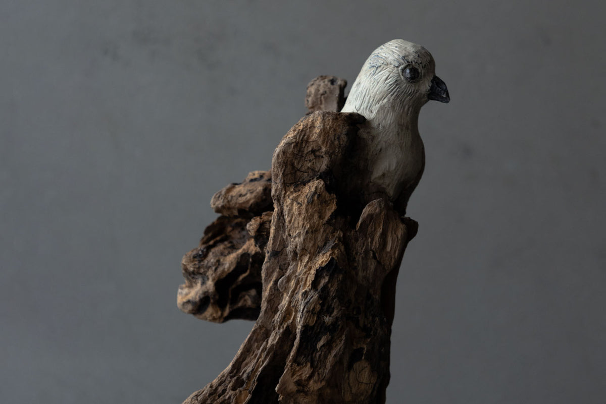 水田典寿 ピューター 流木 鳥 A
