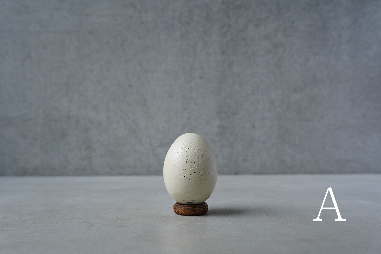 ○24-NM 30水田典寿 egg object (Low pedestal)