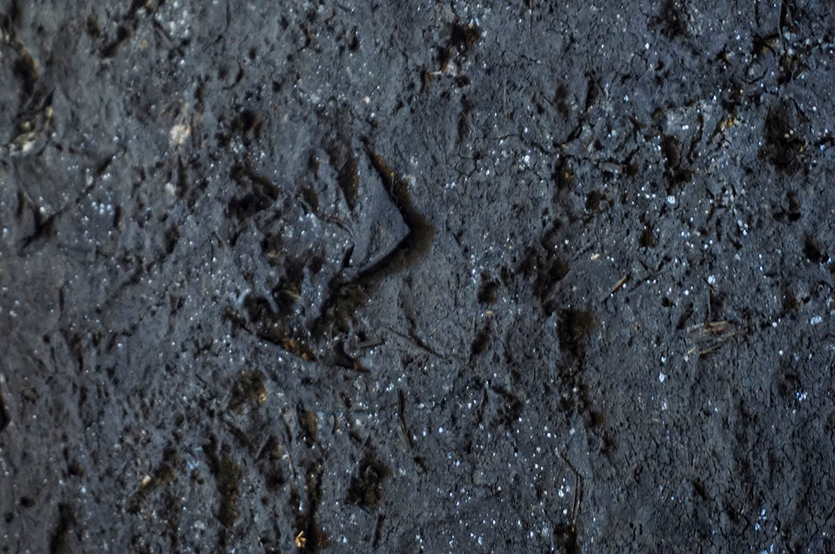 Wataru Hatano "The accumulation of time" Size 30 (TC-13)